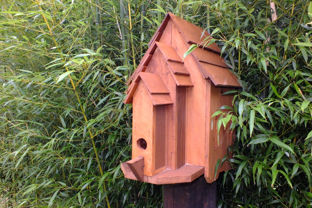 Picture of Bird House