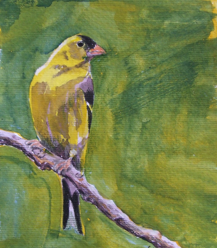 Picture of Goldfinch